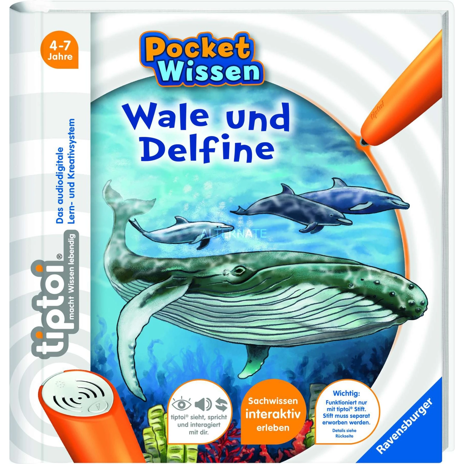 Bücher Ravensburger Tiptoi Pocket Wissen: Wale Und Delfine, Lernbuch 3 Bücher Ravensburger Tiptoi Pocket Wissen: Wale Und Delfine, Lernbuch